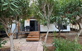 OtelOX Ayaş Beach Bungalov
